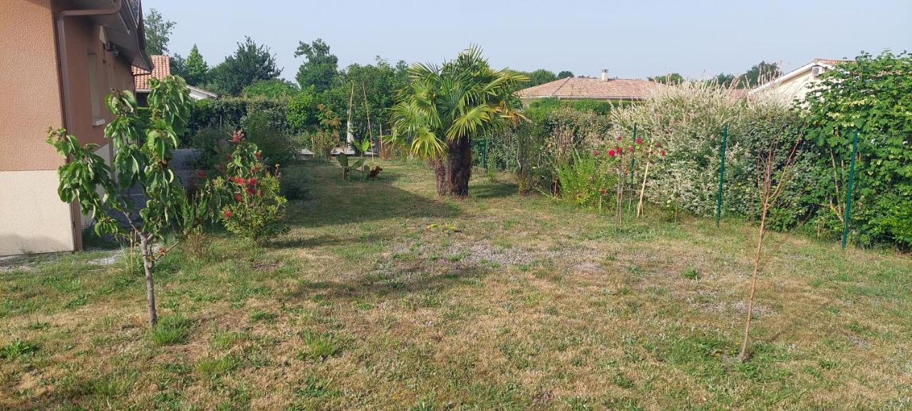 Gite Des Pins Aureilhan  Dış mekan fotoğraf
